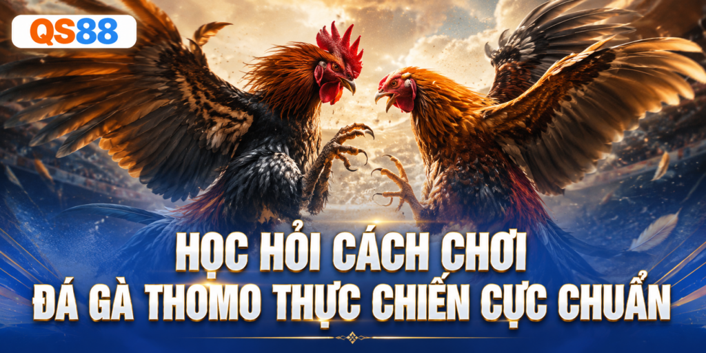 Các cách chơi đá gà thực chiến QS88