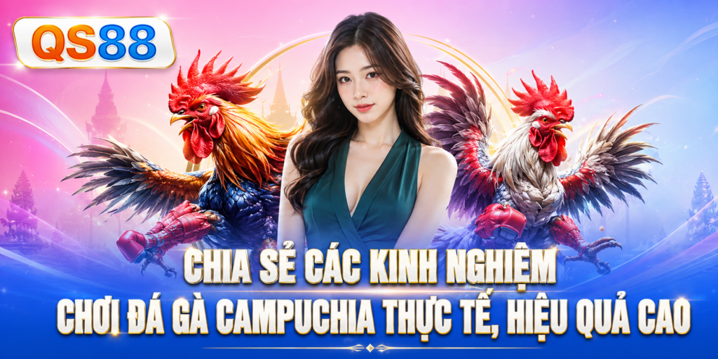 Các kinh nghiệm hiệu quả QS88