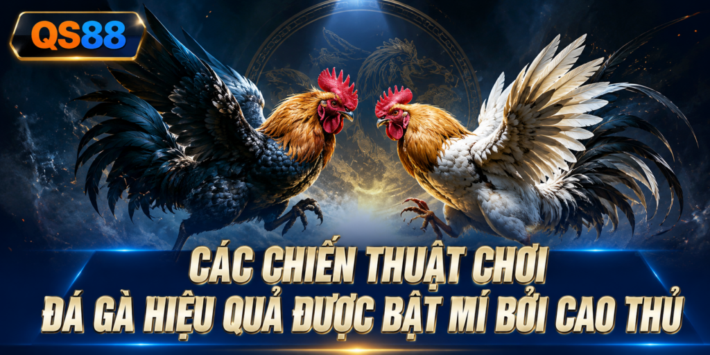 Các chiến thuật chơi đá gà QS88